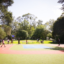 Field image